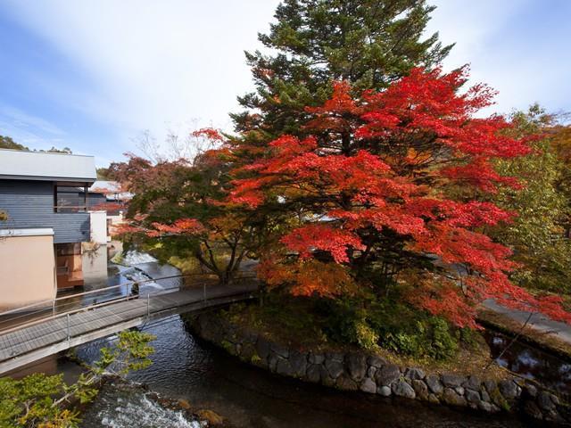 Hoshinoya Karuizawa Villa Bekvämligheter bild